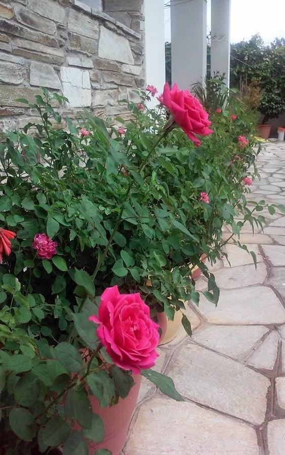 Hotel Sevilli Agios Ioannis  Экстерьер фото